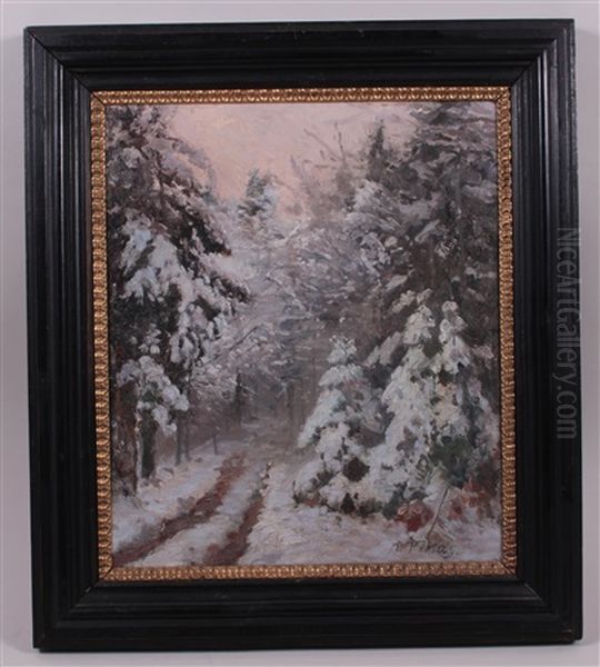 Winterwald - view 1