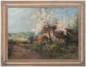 Country Landscape