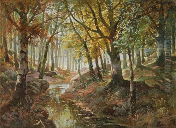 Herbstliche Flusslandschaft - view 1