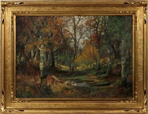 Fall Forest Landscape