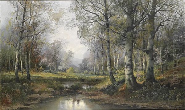 Sommerlandschaft - view 1