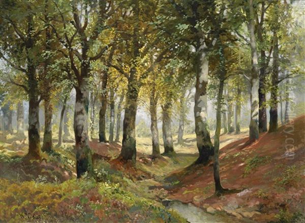 Sonnendurchflutete Waldlandschaft - view 1