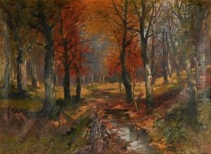 Autumn Woods