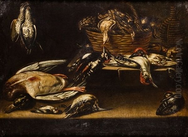 Bodegon De Aves - view 1