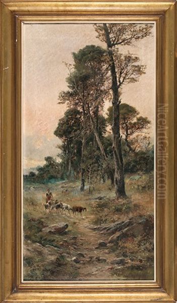 Paisaje - view 1