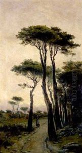 Paseo Por El Bosque by Jose Vilar Torres