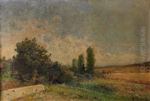 Paisaje