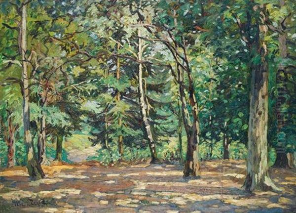 In The Woods Of Bel Air - view 1