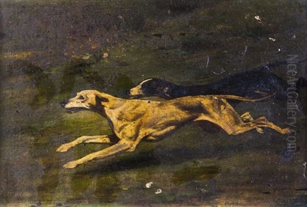 Course De Chiens - view 1