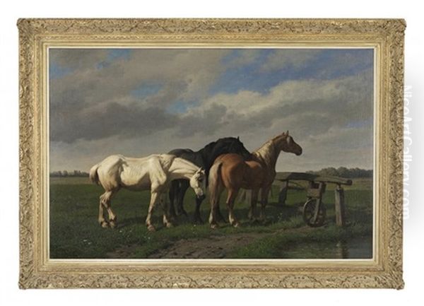 Horses In A Field - view 1