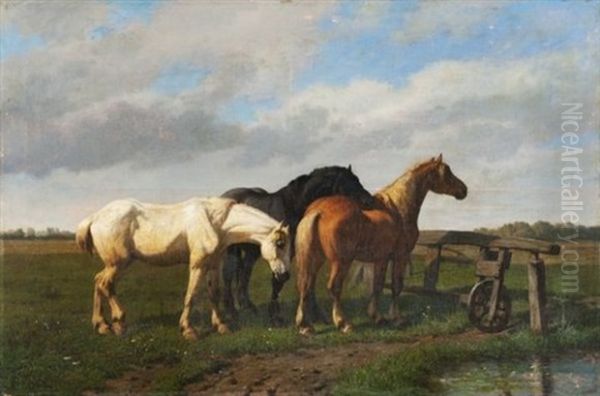 Chevaux - view 1