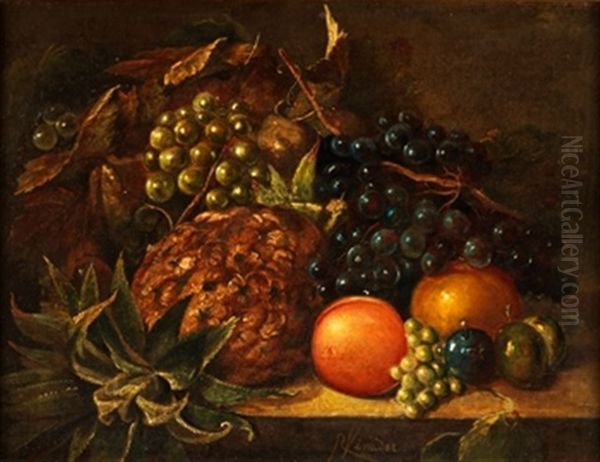 Bodegon - view 1