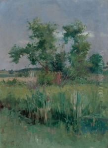 Impressionist View Of Trees And A Stream Impressionist View Of Trees And A Stream