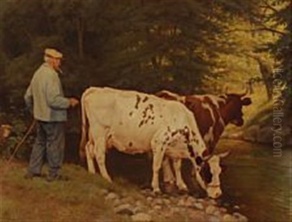 Cows Are Drinking From A Steam - view 1