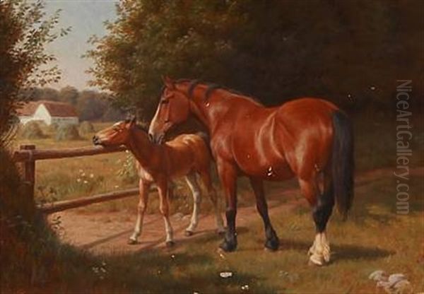 A Mare With Her Foal In The Sun - view 1