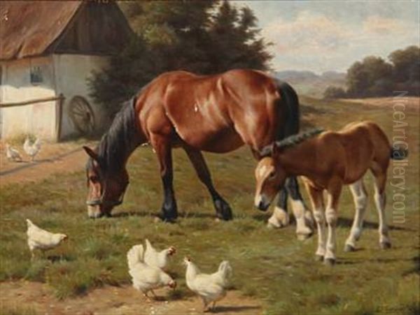 Summer Idyll With Grazing Cows And Chicken - view 1