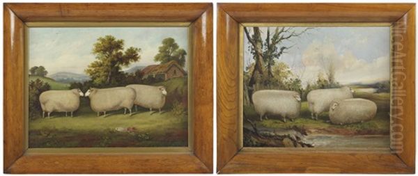 Sheep In A Landscape - view 1