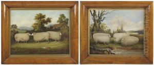 Sheep In A Landscape by John Vine
