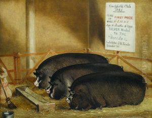 Three Prize Pigs by John Vine