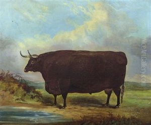 Long Horn Bull by John Vine