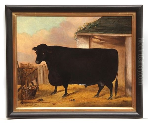 Primitive Black Bull - view 1