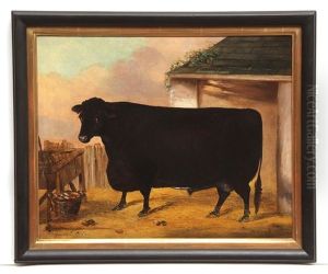 Primitive Black Bull