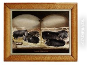 Six Prize Berkshire Pigs by John Vine