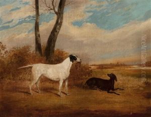 Gun Dogs In A Landscape (pair) by John Vine