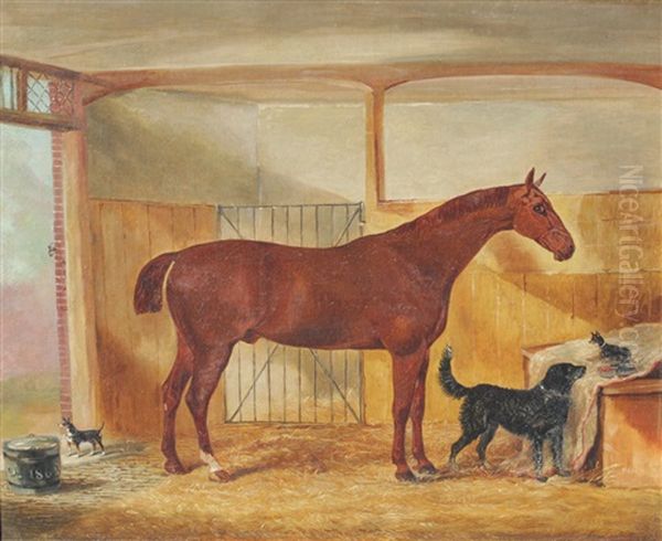Stable Scene With Stallion, Chihuahua And Mutt - view 1
