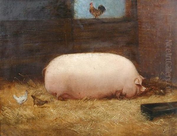 Victoria, A Prize Pig - view 1