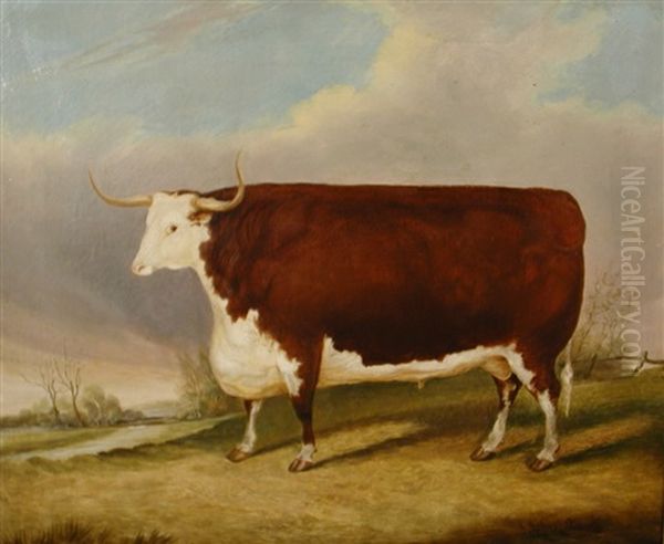 A Hereford Bull In A Landscape - view 1