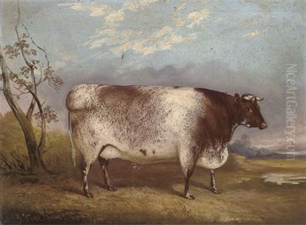 A Prize Cow - view 1