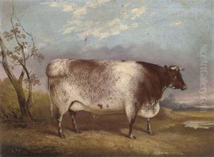 A Prize Cow by John Vine