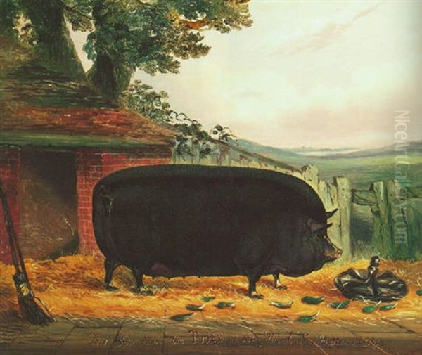A Large Black Sow, 'negress 11" - view 1