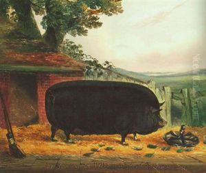A Large Black Sow, 'negress 11" by John Vine