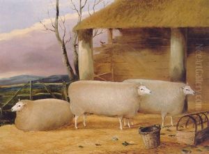 Three Sheep In A Byre by John Vine