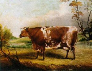 A Prize Bull In A River Landscape A Prize Bull In A River Landscape