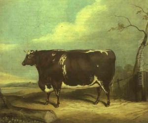 A Brown And White Prize Bull In A Landscape