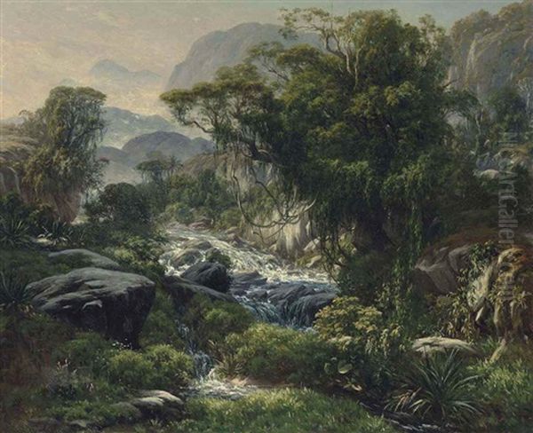 A Mountain Stream In The Rainforest Above Rio De Janiero - view 1