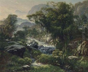 A Mountain Stream In The Rainforest Above Rio De Janiero by Henri Nicolas Vinet