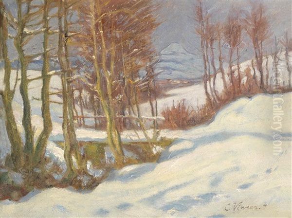 Winterlandschaft - view 1