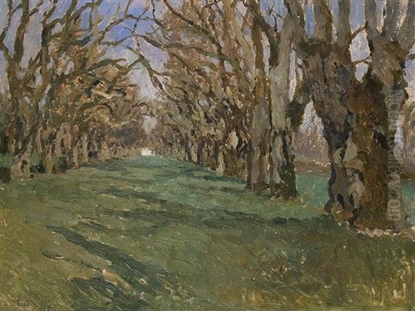 Die Alte Allee - view 1