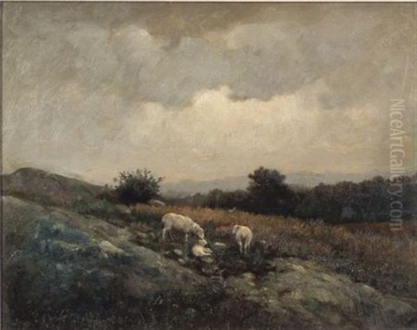 Tending To Her Lamb - view 1