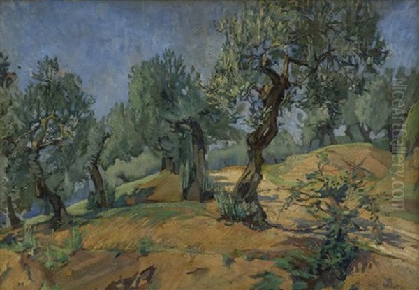 Ulivi - view 1