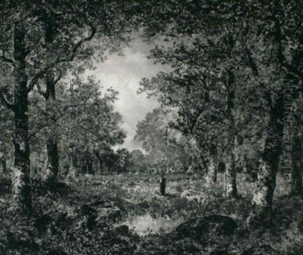 In The Woods - view 1