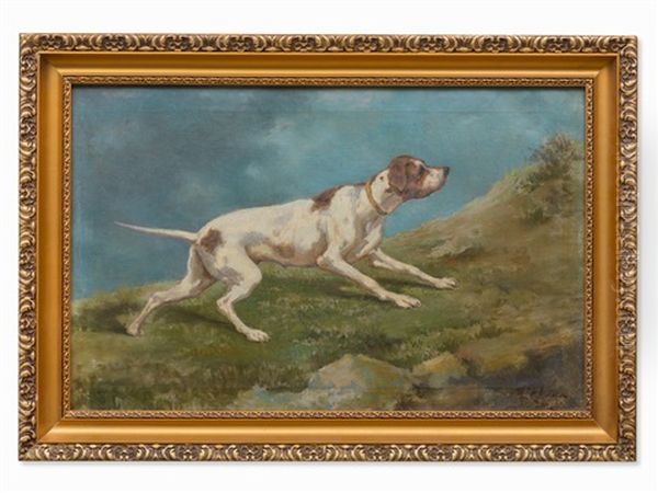 Stalking Dog - view 1