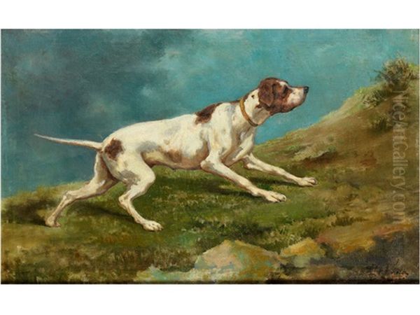 Jagdhund Beim Anpirschen - view 1