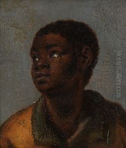 Afrikanischer Knabenkopf Afrikanischer Knabenkopf