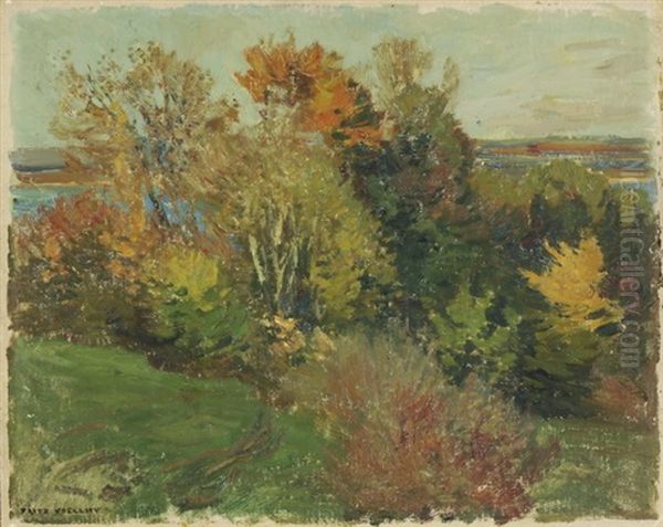 Landschaft - view 1