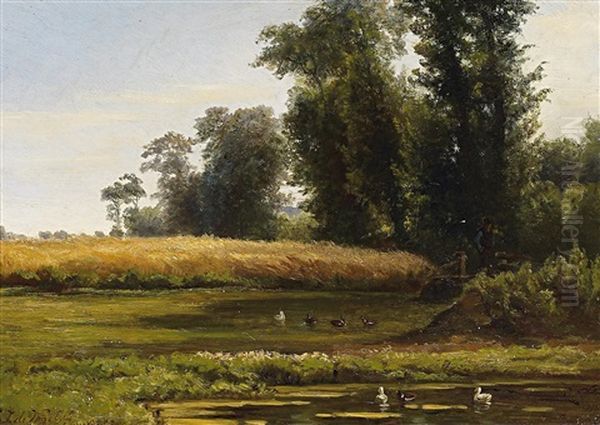 Sommerliche Teichlandschaft Am Waldesrand - view 1